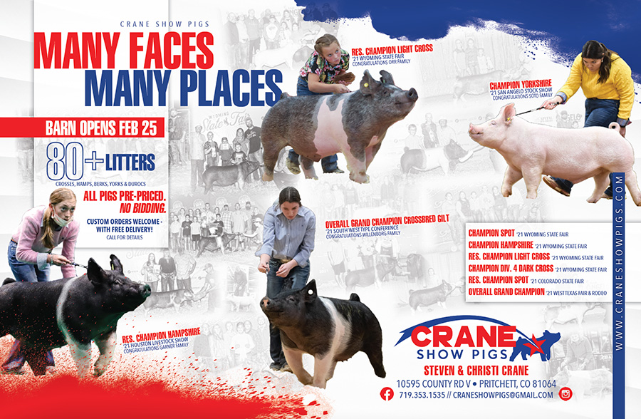 Crane Show Pigs Sales Flyer